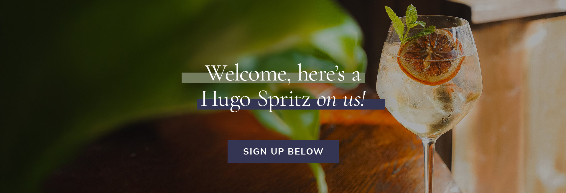 Sign up to the newsletter at The Hope